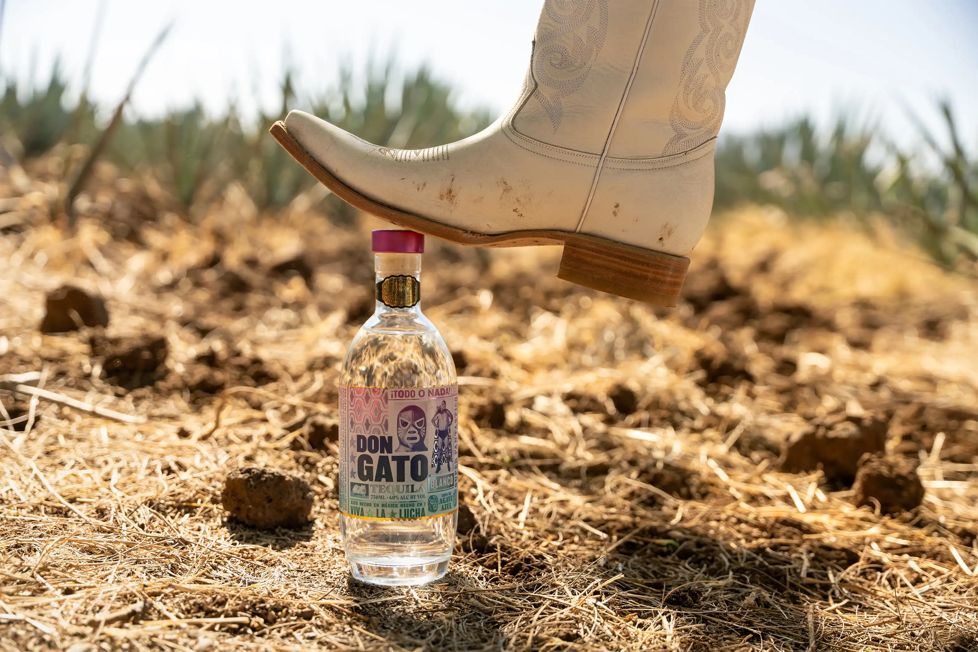 A cowboy boot stepping on a bottle of Don Gato Blanco in an agave field