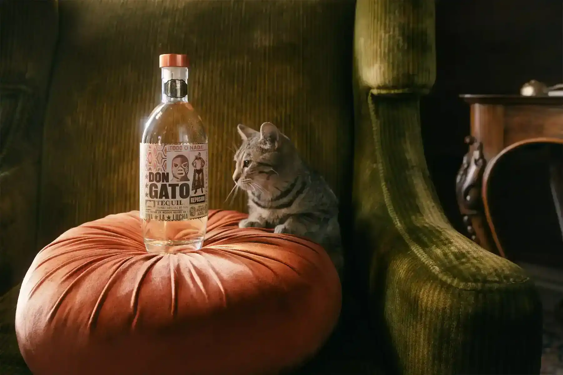 Don Gato product shot with cat
